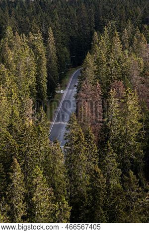 Empty Road Passing Through The Dense Forest In Autumn. Hidden Road. Kuopio Finland