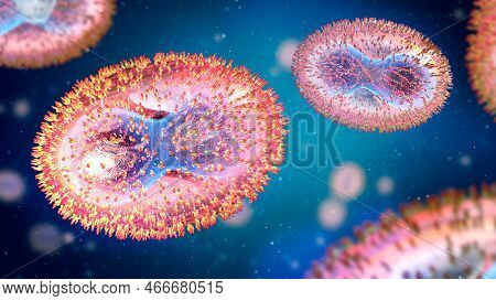 Cross Section Of A Smallpox Pathogen With Cell Membrane, Nucleocapsid, Cell Wall And Glycoproteins -