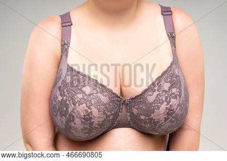 Big Natural Breasts In A Lace Bra Close-up, Biggest Boobs On Gray Background