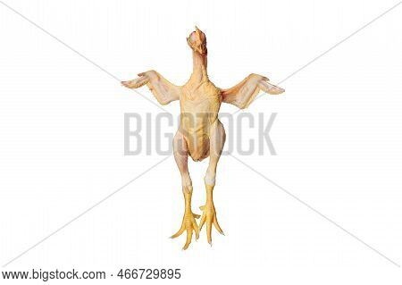 Dead Plucked Chicken Chick With Open Wings And Yellow Paws Isolated On White