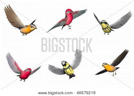 Set Of Songbirds - 3D Render