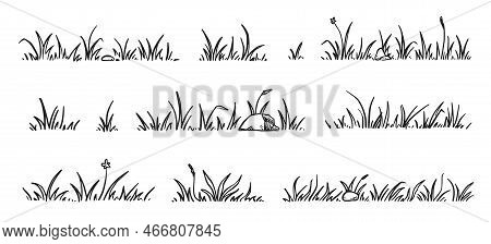 Grass Doodle Sketch Style Set. Hand Drawn Grass Field Outline Scribble Background. Sprout, Flower, C