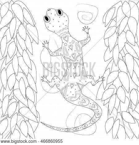 Lizard