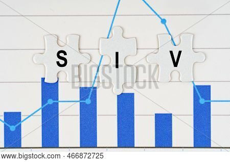 Business Concept. On Business Reports - Diagrams Are Puzzles With The Inscription - Siv