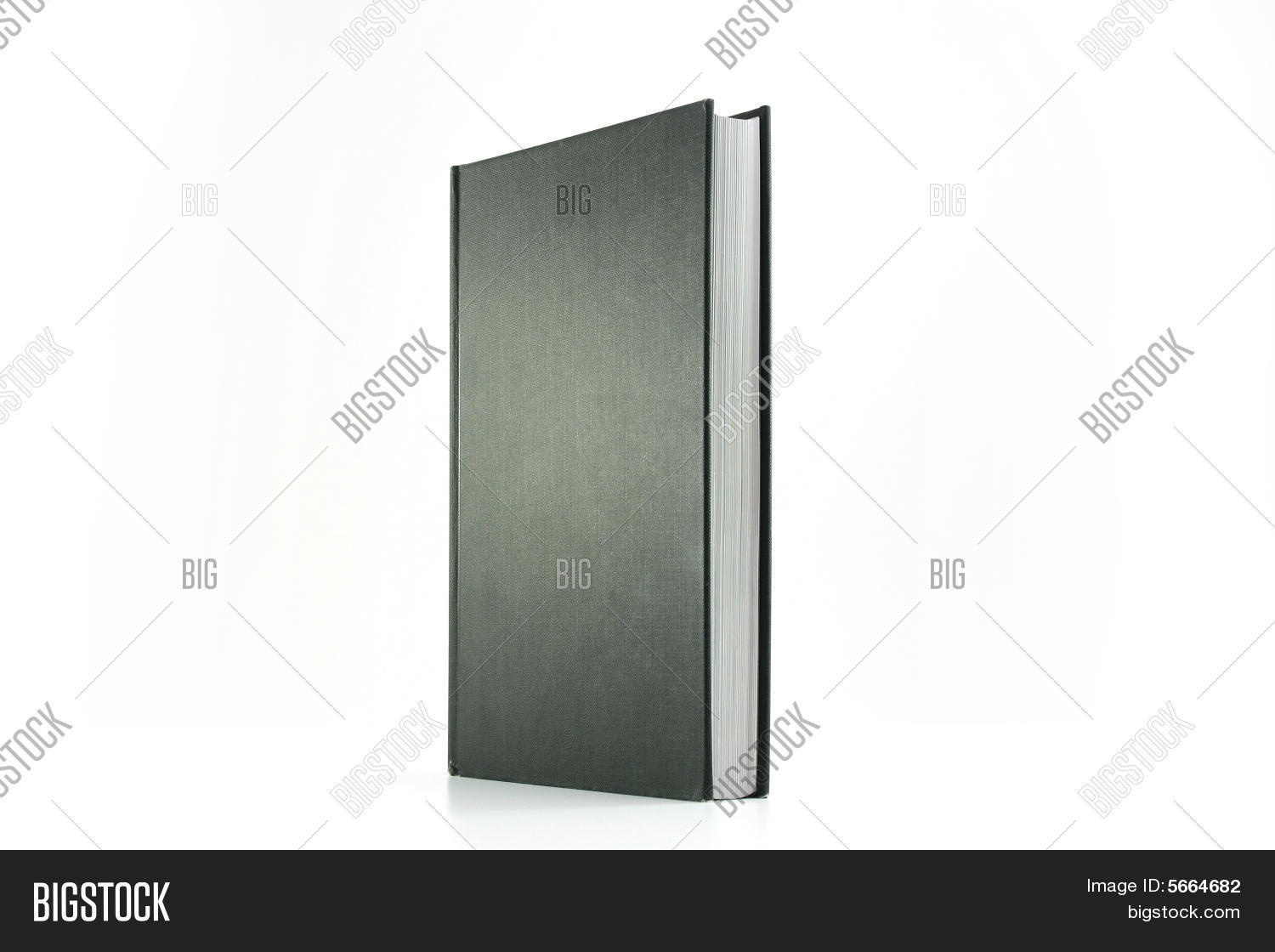 Image Preview