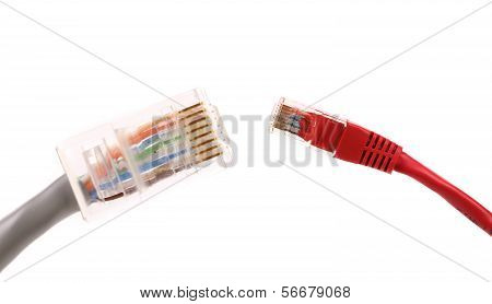 Two differrent network cables.