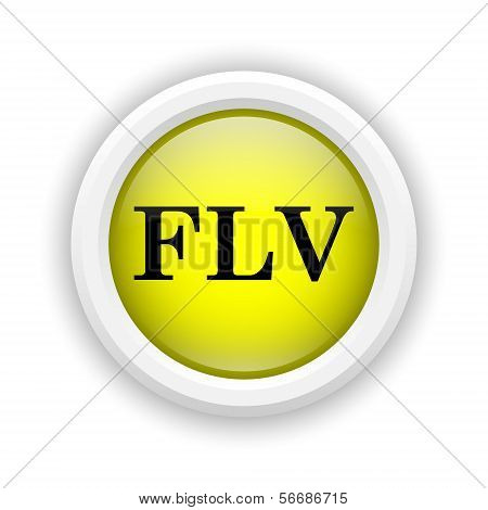 Flv Icon