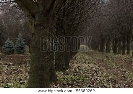 eternal path