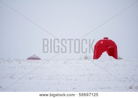 Bright red bee shelter