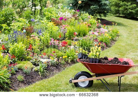 Transplanting New Spring Plants Into The Garden
