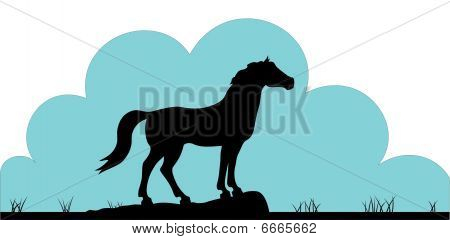 Pferd