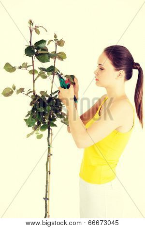 Happy gardener using pruning scissors