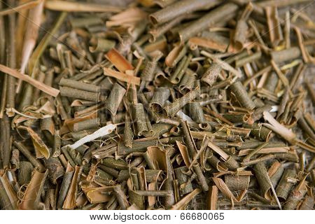 Willow Bark Medical