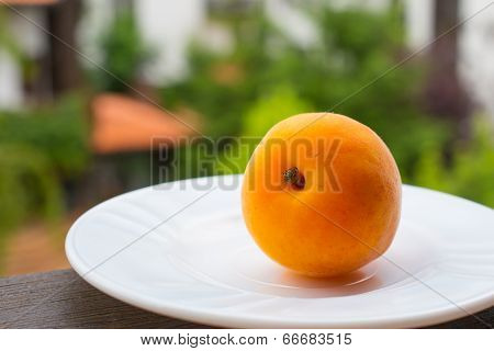 Apricots