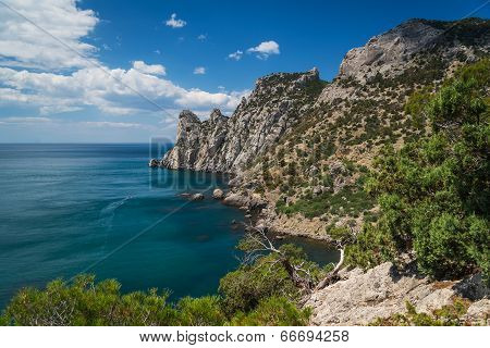 Rocky shore