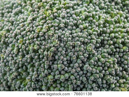 Broccoli Texture