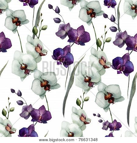 Beautiful orchid flower7