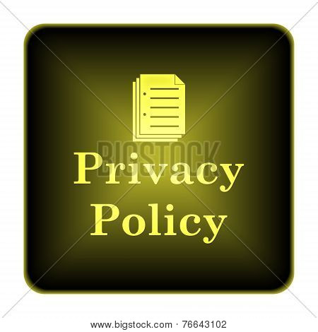 Privacy Policy Icon