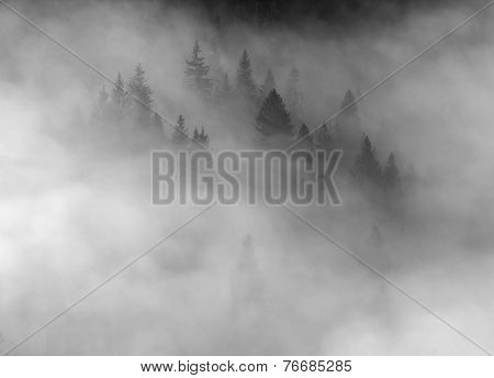 Autumn Landscape