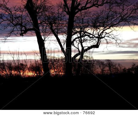 Colorful Sky