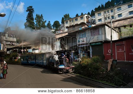The Darjeeling 