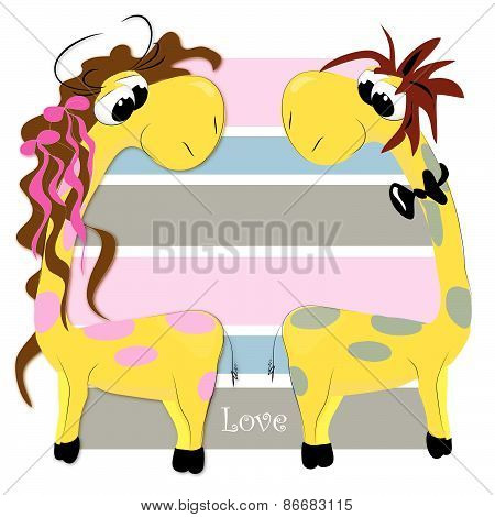 Giraffe's love