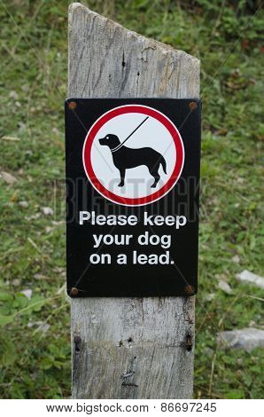 Keep dog on Lead