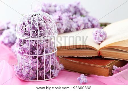 Beautiful Lilac Flowers In Birdcage On Pink Background