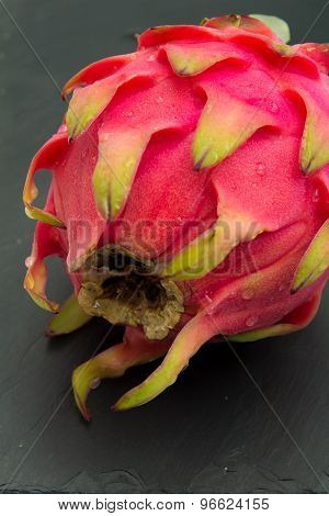 Dragon Fruit