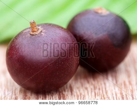 Flacourtia Fruits