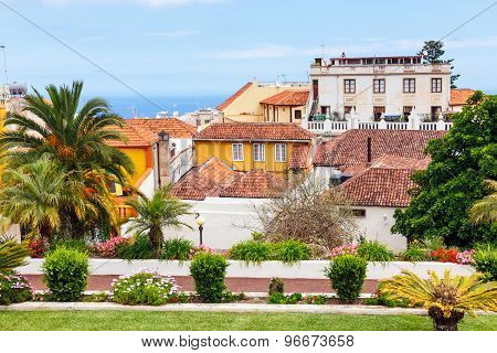Botanical Garden In La Orotava Town, Tenerife, Canary Islands