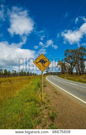 Kangaroo Crossing