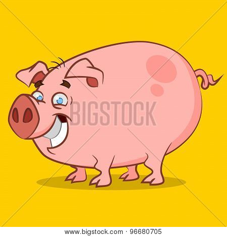 funniest pig.