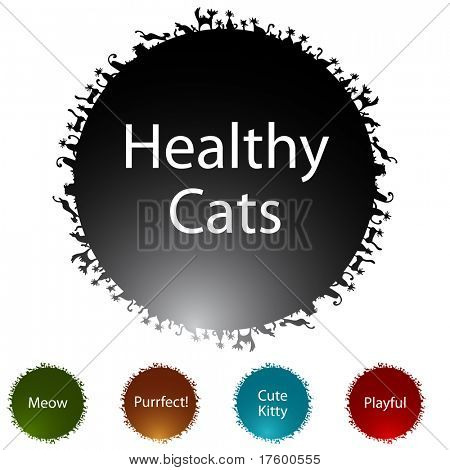 Un'immagine di un gatto cicle icon set.
