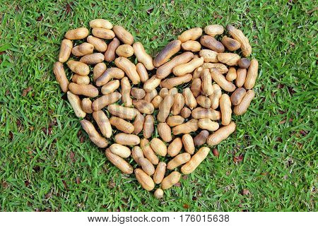 The heart from the nuts on the grass for Valentine's Day.