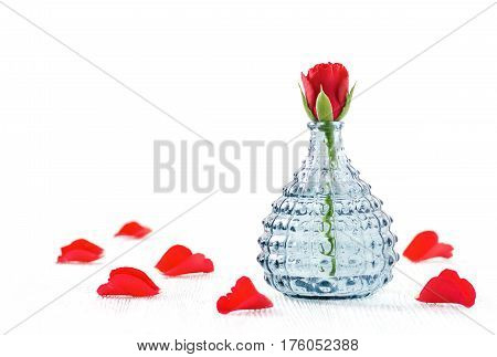 aromatherapy spa and wellness rose and petals on white background