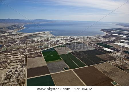 Salt bredden af Salton Sea
