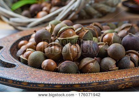 Macadamia nuts harvest close up with leaves