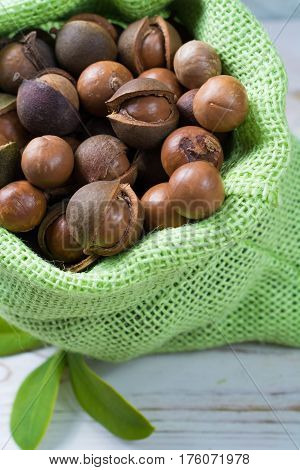 Macadamia nuts harvest close up with leaves