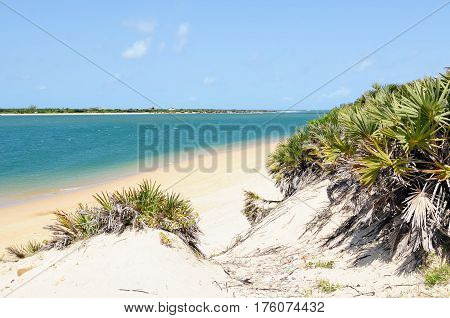 Kenya Beautiful sand beach on the Lamu archipelag