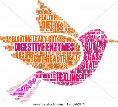 Digestive Enzymes Word Cloud