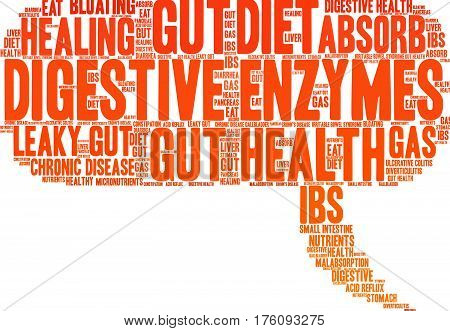 Digestive Enzymes Word Cloud
