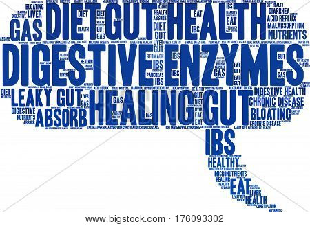 Digestive Enzymes Word Cloud