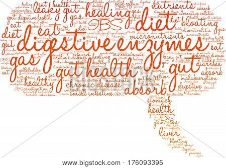 Digestive Enzymes Word Cloud
