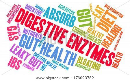 Digestive Enzymes Word Cloud