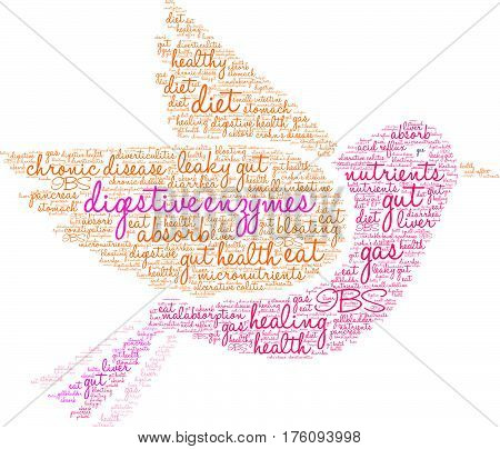 Digestive Enzymes Word Cloud