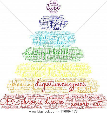 Digestive Enzymes Word Cloud