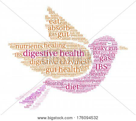 Digestive Health Word Cloud