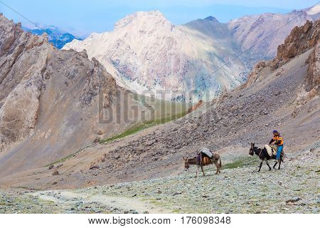 Donkey caravan in remote Asian mountain area. Fan Mountains, Alaudin pass, Tagikistan, Middle Asia, July 16, 2015