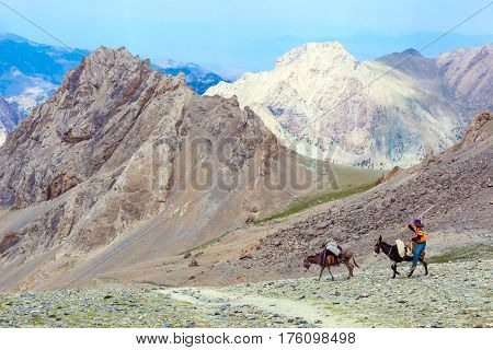 Donkey caravan in remote Asian mountain area. Fan Mountains, Alaudin pass, Tagikistan, Middle Asia, July 16, 2015